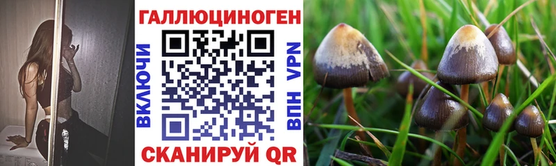 даркнет сайт KRAKEN сайт Псилоцибиновые грибы GOLDEN TEACHER Полевской